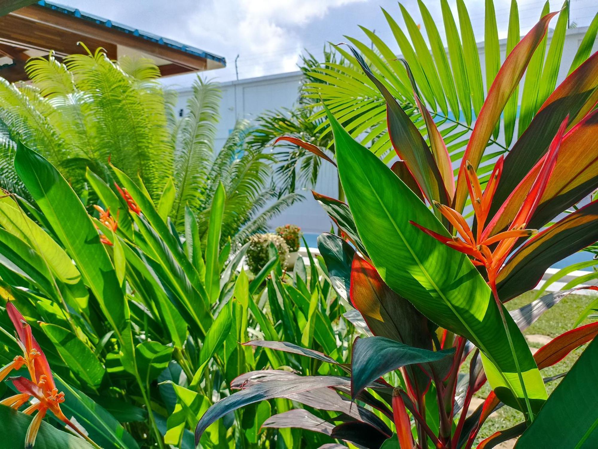 Morona Flats & Pool - 70 M2 Iquitos Exterior foto